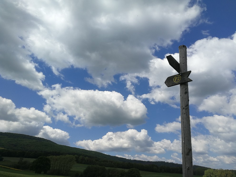 Wegweiser